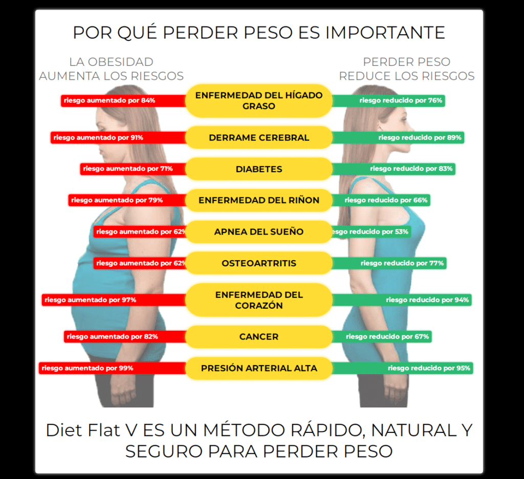 Diet Flat V Ingredientes