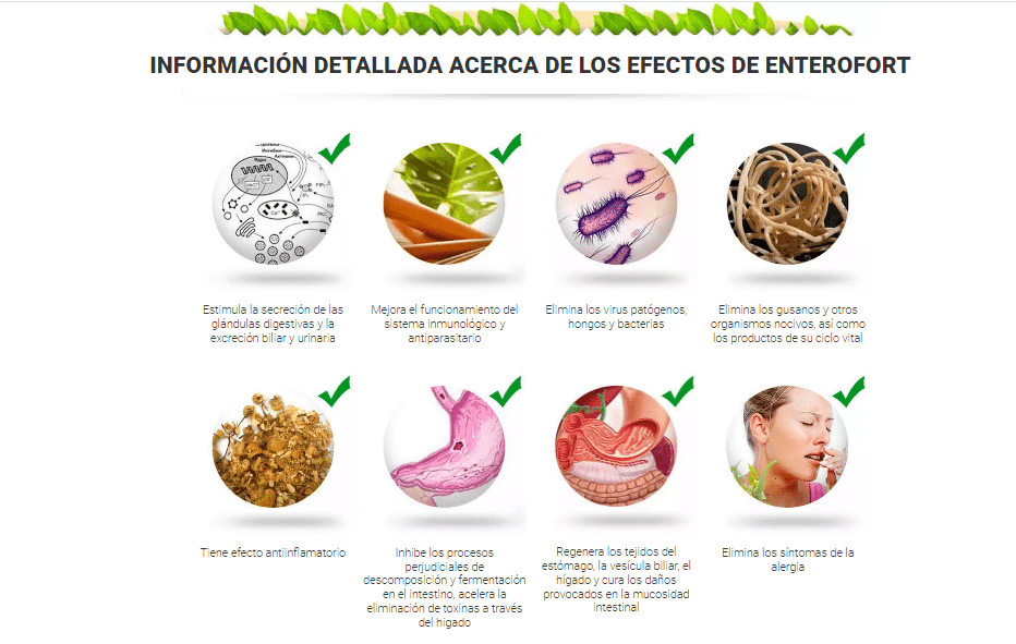 Enterofort Precio
