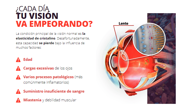 Ocuvita Precio