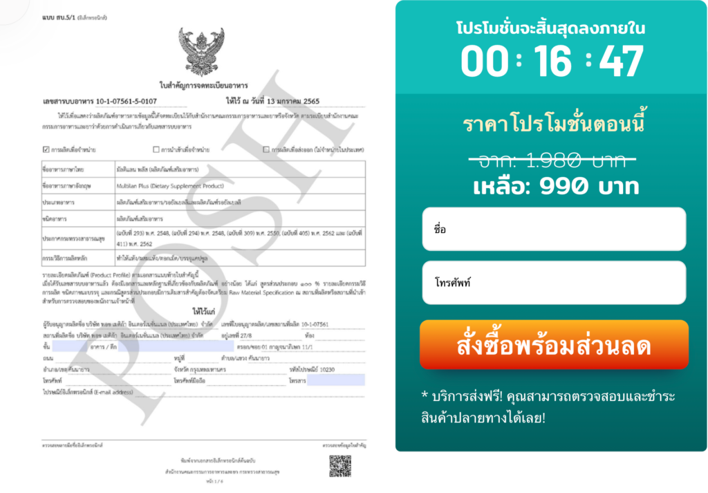 Multilan Plus à¹à¸„à¸›à¸‹à¸¹à¸¥